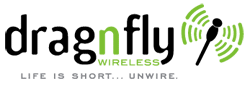 Dragnfly_logo